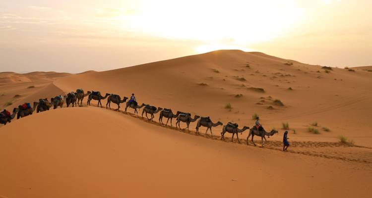 Luxury Desert Tour From Marrakech To Desert 3Days - Private Desert Tours 3