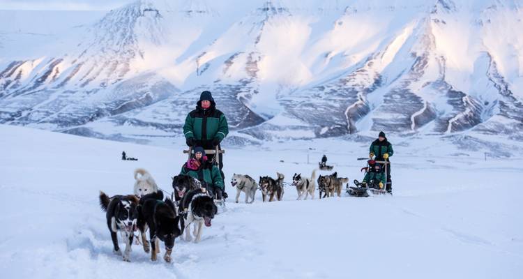 Activité de traîneau à chiens à travers un paysage enneigé avec des montagnes en arrière-plan.