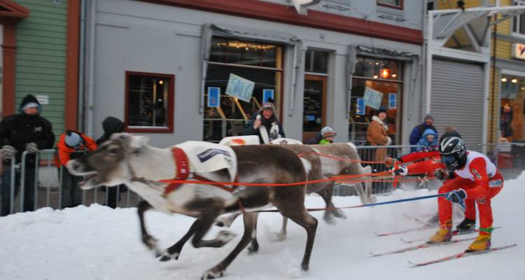 Renne tirant une personne en skis dans une rue enneigée, spectateurs regardant.