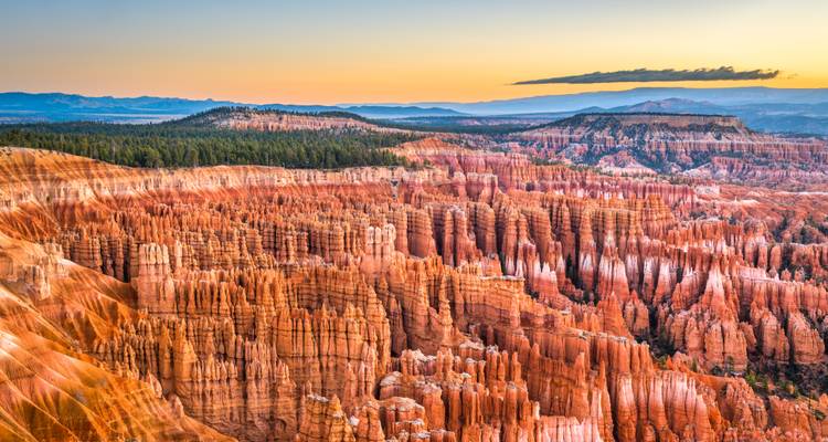 Vue panoramique du Canyon Bryce avec ses formations rocheuses uniques au coucher du soleil.