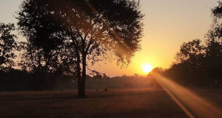 Circuito safari Sanchi Bhimbetka Satpura - Alkof Holidays 2