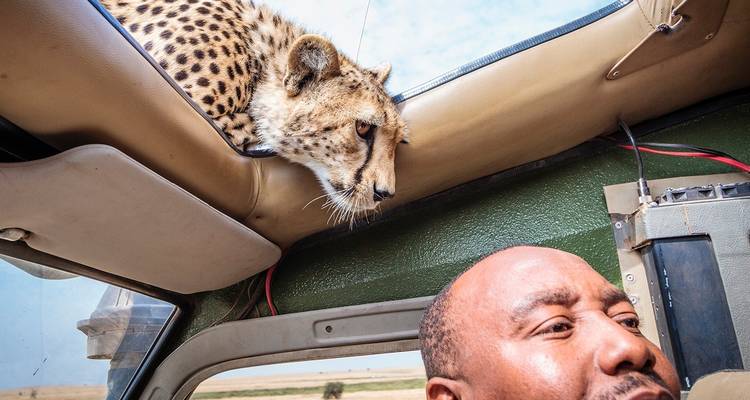 8-Days Cheetah Photographic Jeep Safari - Gracepatt Ecotours Kenya 3