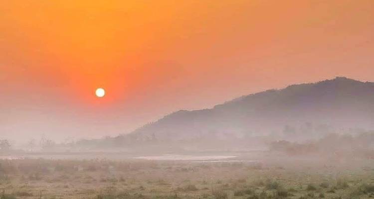 Uncovering the Wonders of India: A 26-Day Wildlife Tour - Travel Con 9