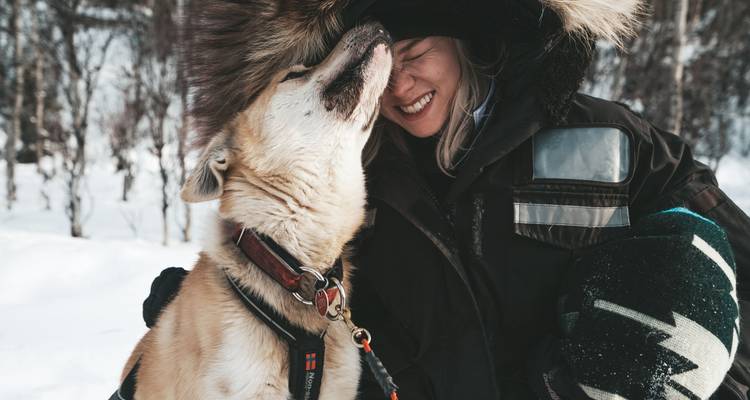 Yukon Northern Lights Holiday Premium Tour - Discover Canada Tours 2