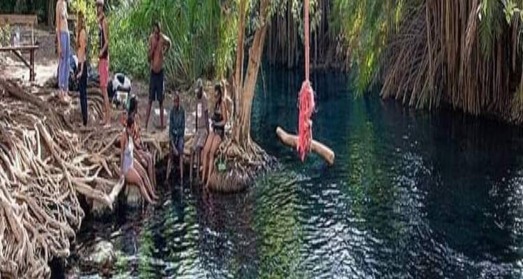 Gruppe von Menschen, die eine Süßwasserquelle in einem Wald genießen.