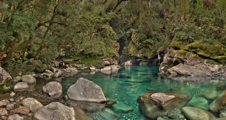 South Island Wilderness Encounter - 14 Day - Discover New Zealand 6