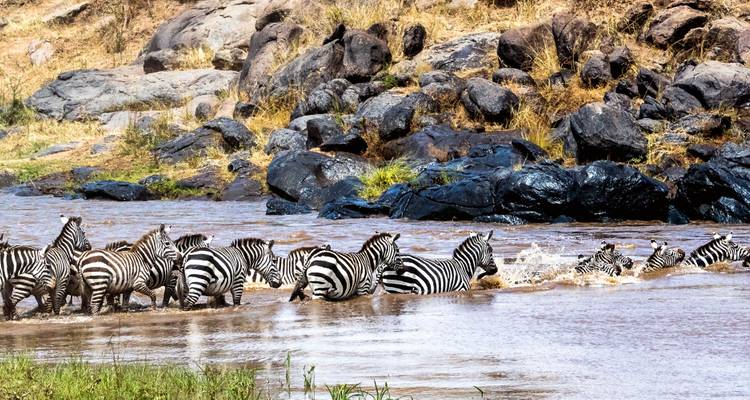 3 jours de safari dans le Masai Mara en véhicule 4x4 à toit ouvert - JOYINA SAFARIS AFRICA 1