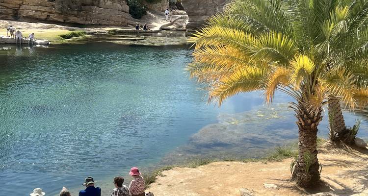 Les gens se détendent à côté d'un cenote d'un vert émeraude cristallin, bordé par un palmier isolé et des rebords rocheux.