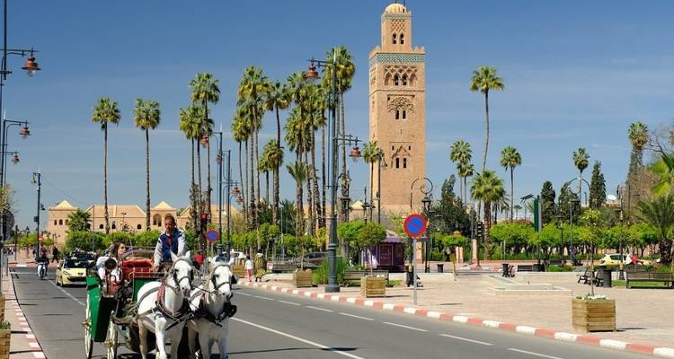 Private 9 Days Tour including Sahara Desert, Chefchaouen, Fez, Marrakech, Casablanca and Rabat - Omega Tour 4