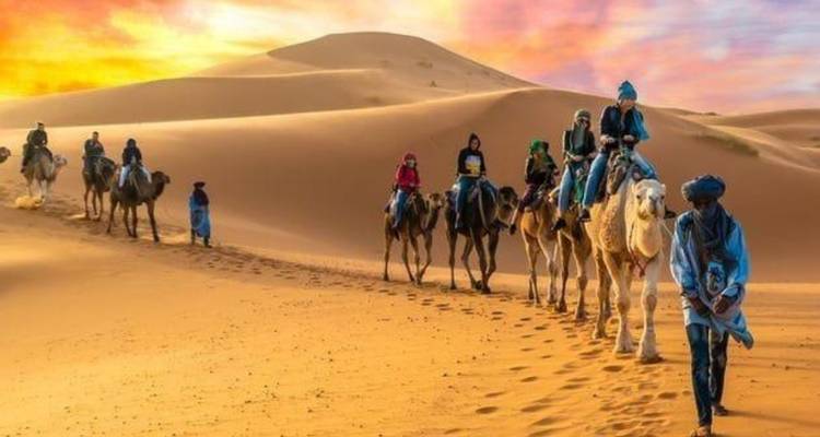 Private 9 Days Tour including Sahara Desert, Chefchaouen, Fez, Marrakech, Casablanca and Rabat - Omega Tour 7