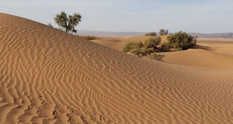 Voyage de 3 jours dans le désert de Marrakech à Fès (privé) - Morocco Magic Trip 6
