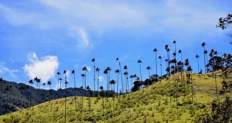 Colombia: Culture, Coffee & Caribbean - Exodus Adventure Travels 1