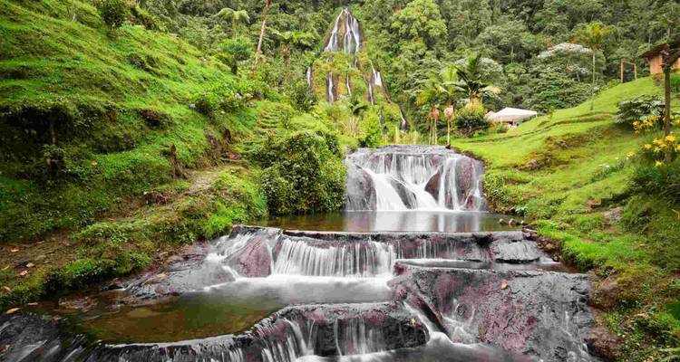 5 días Zona de café Tradicional - BnB Colombia Tours 3