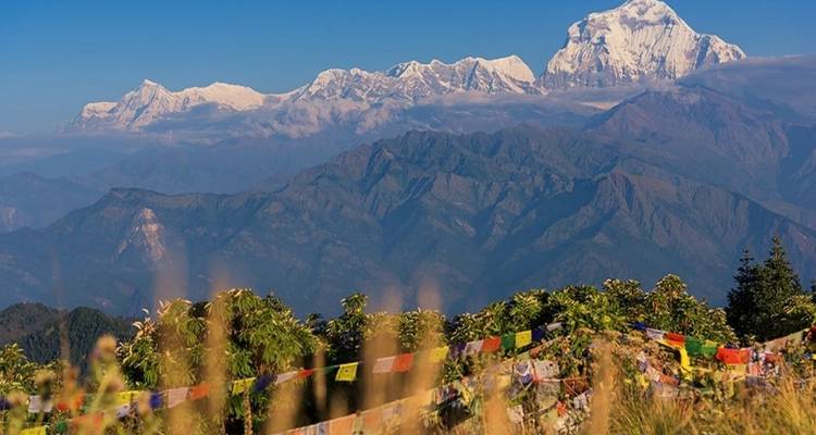 Ghorepani Poon Hill Trek 6 Days - Regulus Treks & Expedition Pvt.Ltd 2