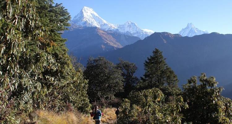Ghorepani Poon Hill Trek 6 Days - Regulus Treks & Expedition Pvt.Ltd 3