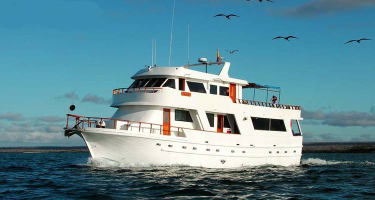 Wit motorjacht varend op kalme blauwe zee onder heldere hemel met zeevogels boven.