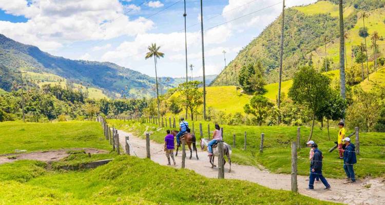 Lo más destacado de Colombia en 15 días, de lujo: más de 50 viajes compartidos - BnB Colombia Tours 2