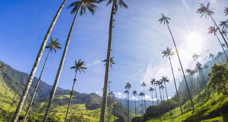 Lo más destacado de Colombia en 15 días, de lujo: más de 50 viajes compartidos - BnB Colombia Tours 3