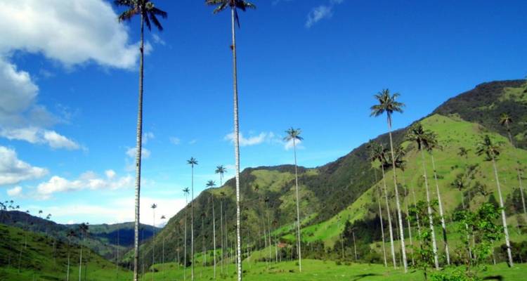 Lo más destacado de Colombia en 15 días, de lujo: más de 50 viajes compartidos - BnB Colombia Tours 6