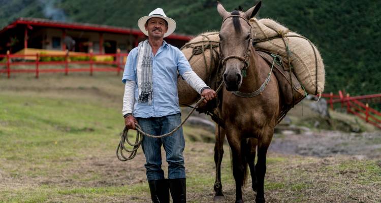 Lo más destacado de Colombia en 15 días, de lujo: más de 50 viajes compartidos - BnB Colombia Tours 9