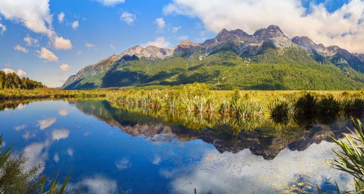 Forfait grandes Treks dans le Fiordland - Thrifty Tours 1