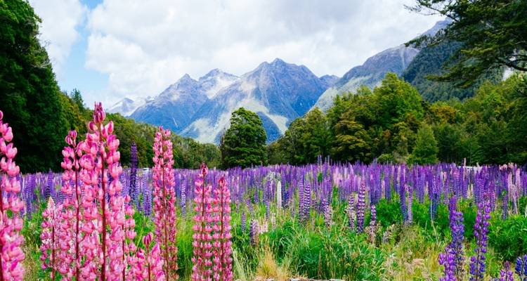 Forfait grandes Treks dans le Fiordland - Thrifty Tours 6