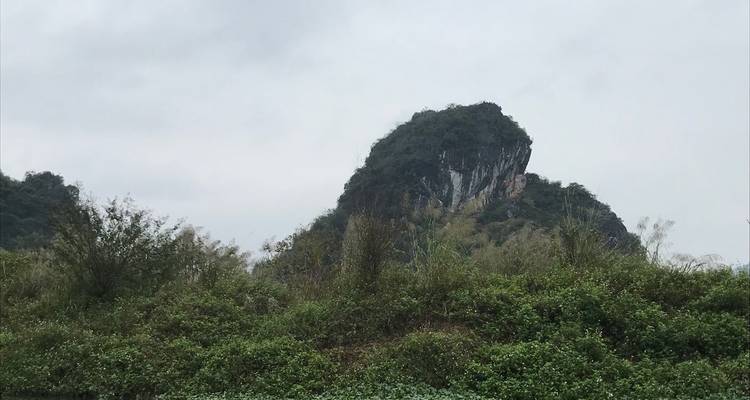A singular mountain peak with lush vegetation around.