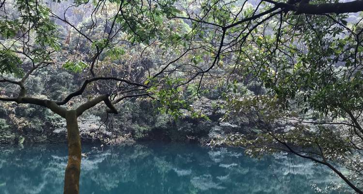 Tranquil lake surrounded by dense foliage.