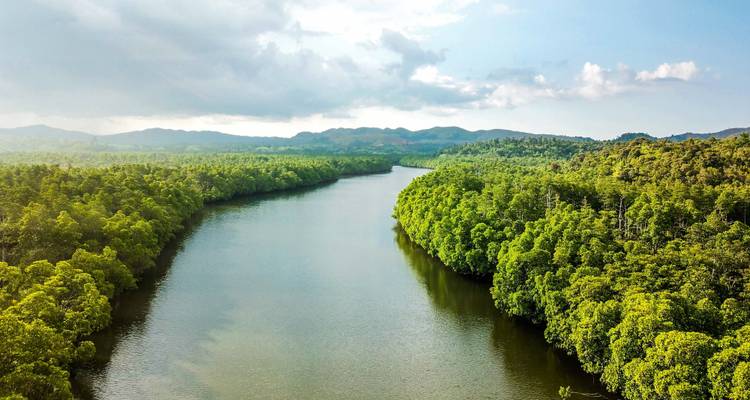 Forfait touristique Bohol : 3 jours d'aventure paradisiaque - Abraham Tours Philippines 1