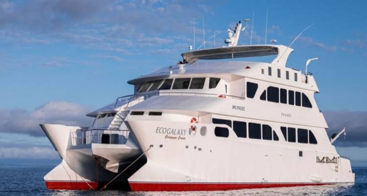 Eco Galaxy II Catamaran de première classe 6 jours - GUIDEcuador Travel 9