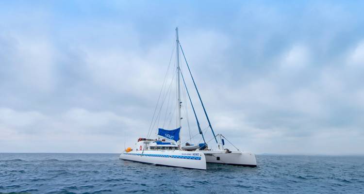 Un catamarán de vela blanco y azul flota en las aguas tranquilas del océano abierto bajo un cielo parcialmente nublado.