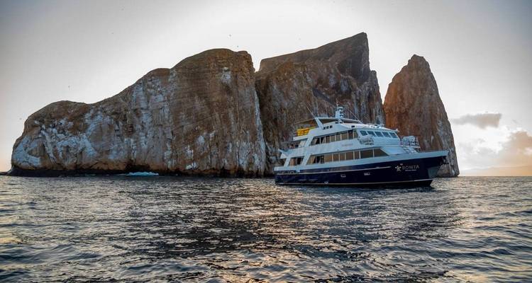 Bonita Tourist Superior Yacht - 7 jours - GUIDEcuador Travel 10