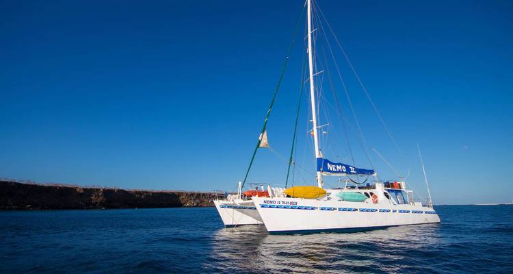 Catamarán blanco de vela Nemo III anclado en aguas azules tranquilas bajo un cielo sin nubes.