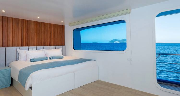 Ruime hut met uitzicht op de oceaan en moderne inrichting.