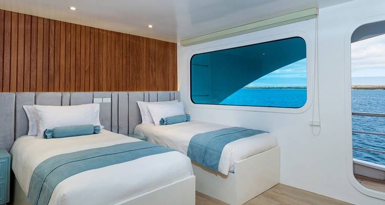 Hut met twee eenpersoonsbedden, eigentijds design en uitzicht op zee.