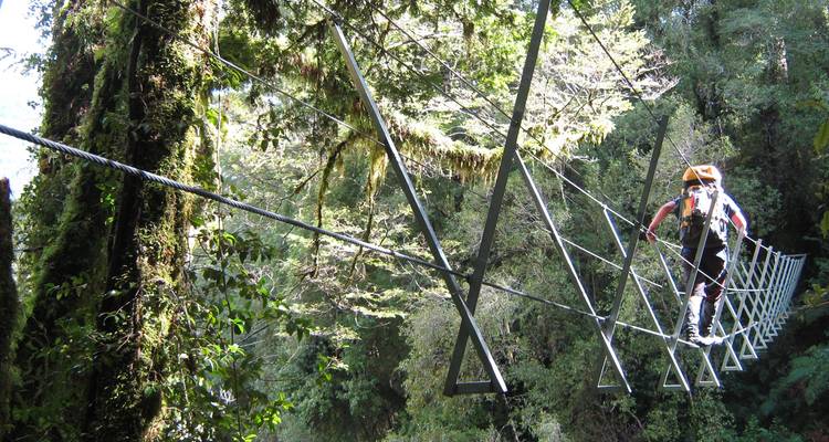 Lo más destacado de Hollyford - Discover New Zealand 1