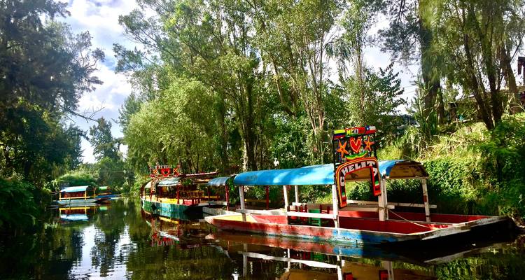 Colorful boats on a canal surrounded by trees.