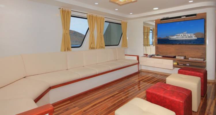 Jachtlounge met comfortabele zitplaatsen en tv.