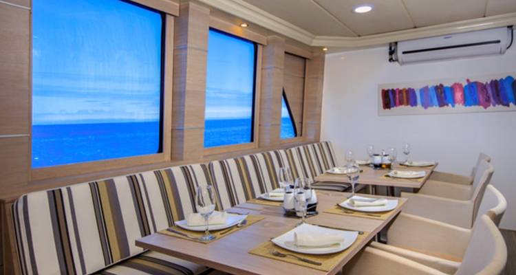 Treasure Of Galapagos First Class Catamaran 7 Days - GUIDEcuador Travel 2