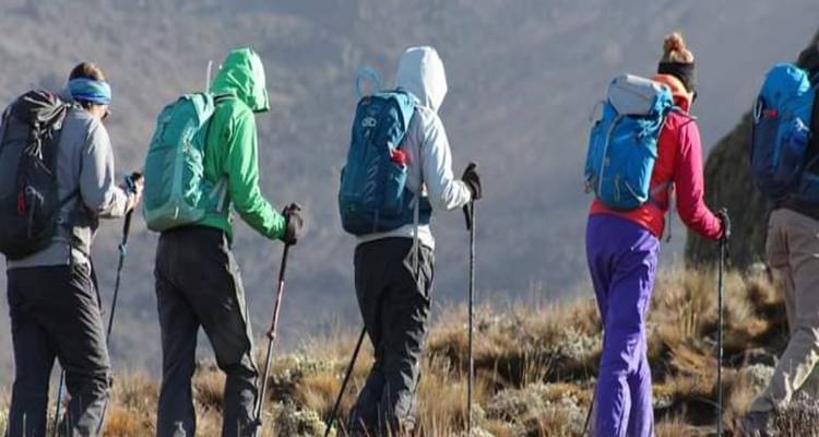 11 días ascenso Ruta circuito Norte. + 2 noches de estancia en hotel de lujo - kilimanjaro habitas 6