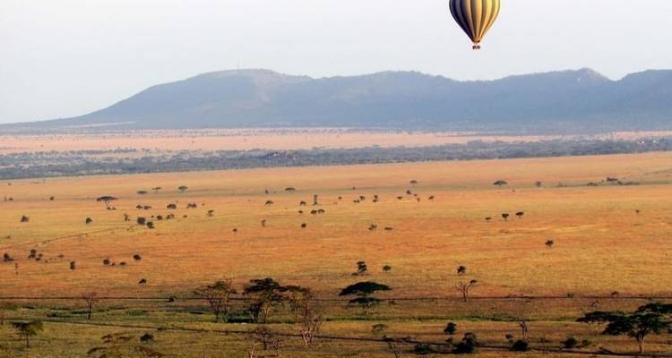 Safari de 8 días por el Serengeti y el Ngorongoro - Eatl Tour and Safari Group  2