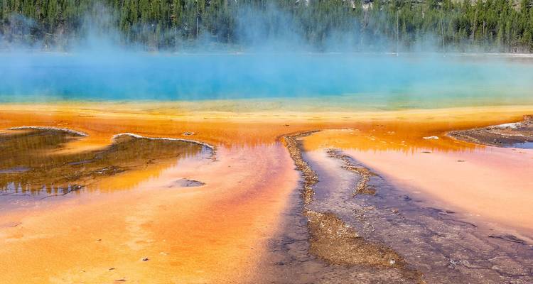 Piscine géothermique multicolore éclatante avec des bandes orange, jaunes et turquoise fumantes sous une crête boisée