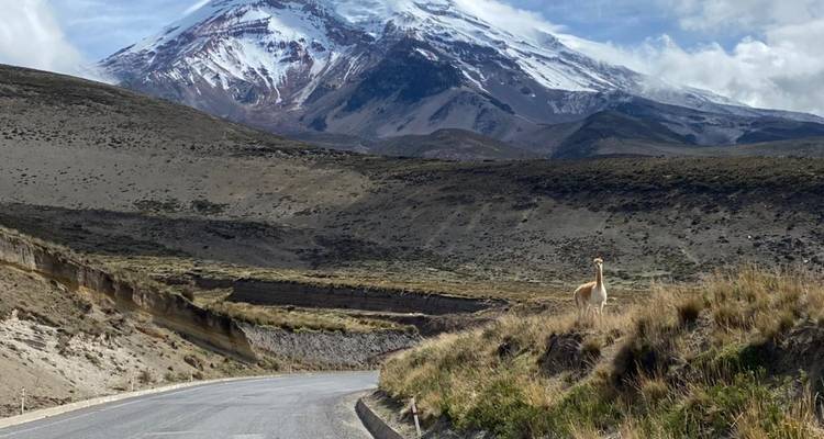 Équateur de Quito à Guayaquil avec la région amazonienne - Ecuador Wonders 2