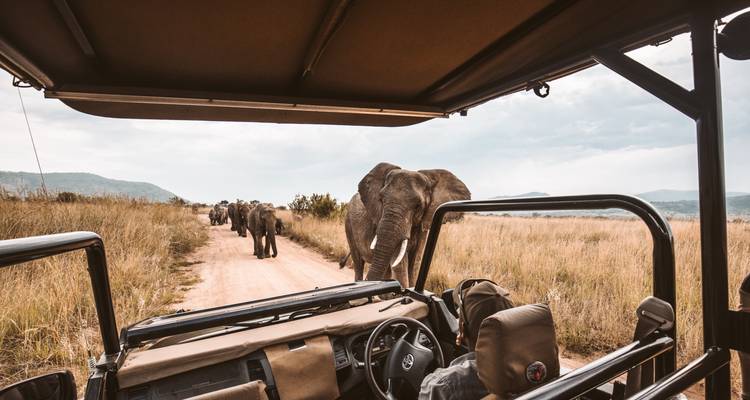 La grande migration des gnous - Saison de mise bas au lac Ndutu Safari privé de luxe. - Kilimanjaro Trekking Mate 6