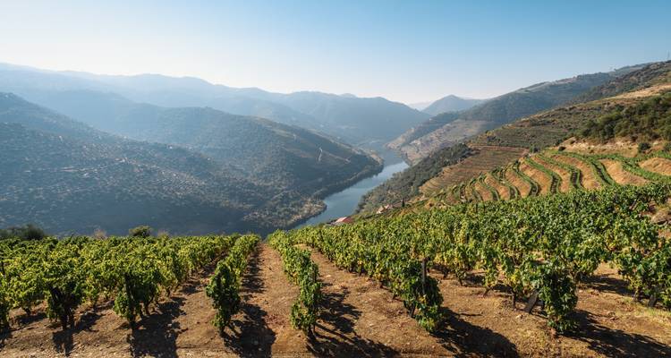 Flavors of Portugal & Spain (Christmas Cruise) 2025 - AmaWaterways 4