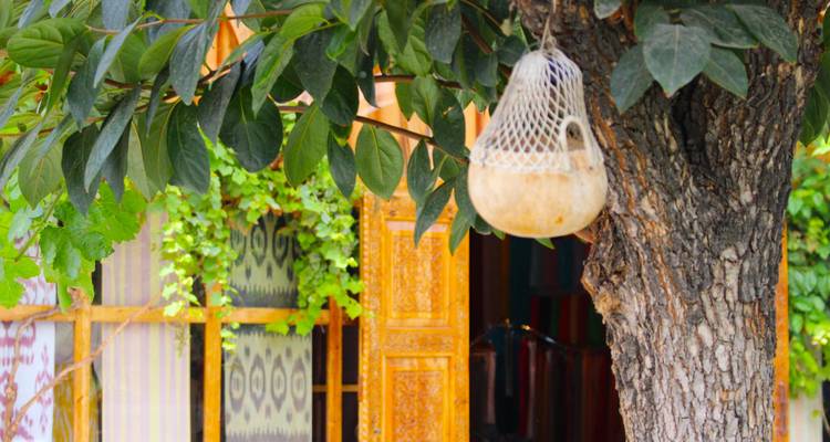 8 días - Las Perlas de Uzbekistán - para minigrupos privados - Pilgrim Travel System 2