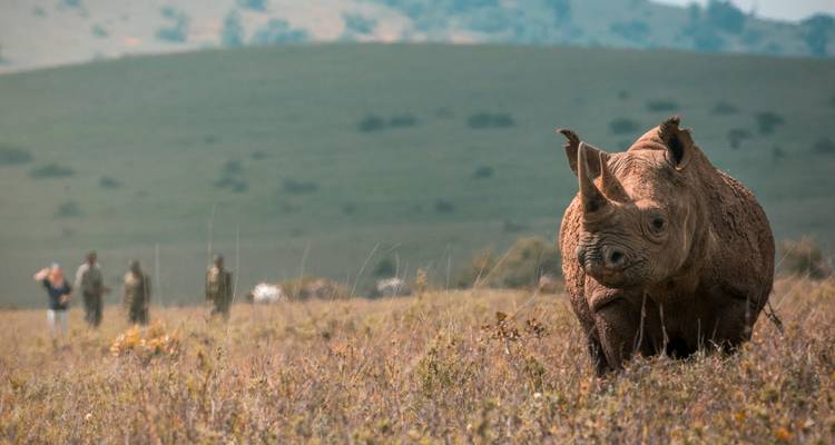 Best Multi Generational Safari: Samburu/Solio/Lake Nakuru & Masai Mara - Ecovibe Millennials Safaris  3
