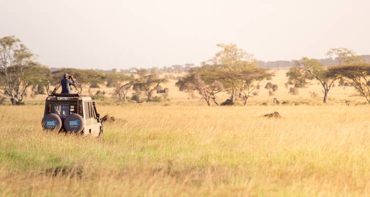 Safari de 3 jours avec camping dans le parc national de Mikumi et d'Udzungwa - Safari 56  2