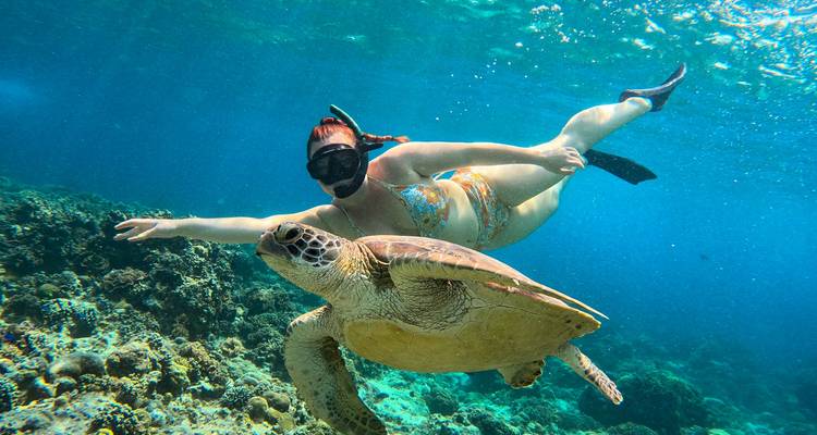 Personne faisant de la plongée avec tuba sous l'eau avec une tortue.
