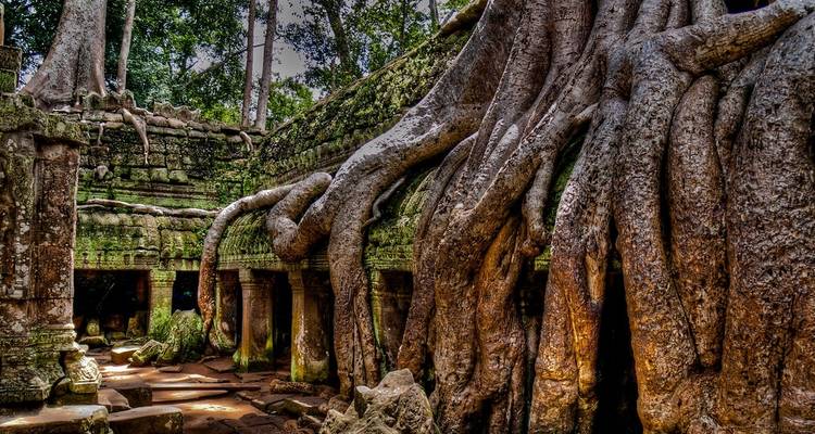 6 Days Cambodia Highlights- PRIVATE TOUR - Vietnam Adventure Tours 4